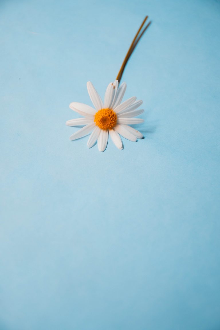 lucas george wendt 7JGJtzuqSEc unsplash